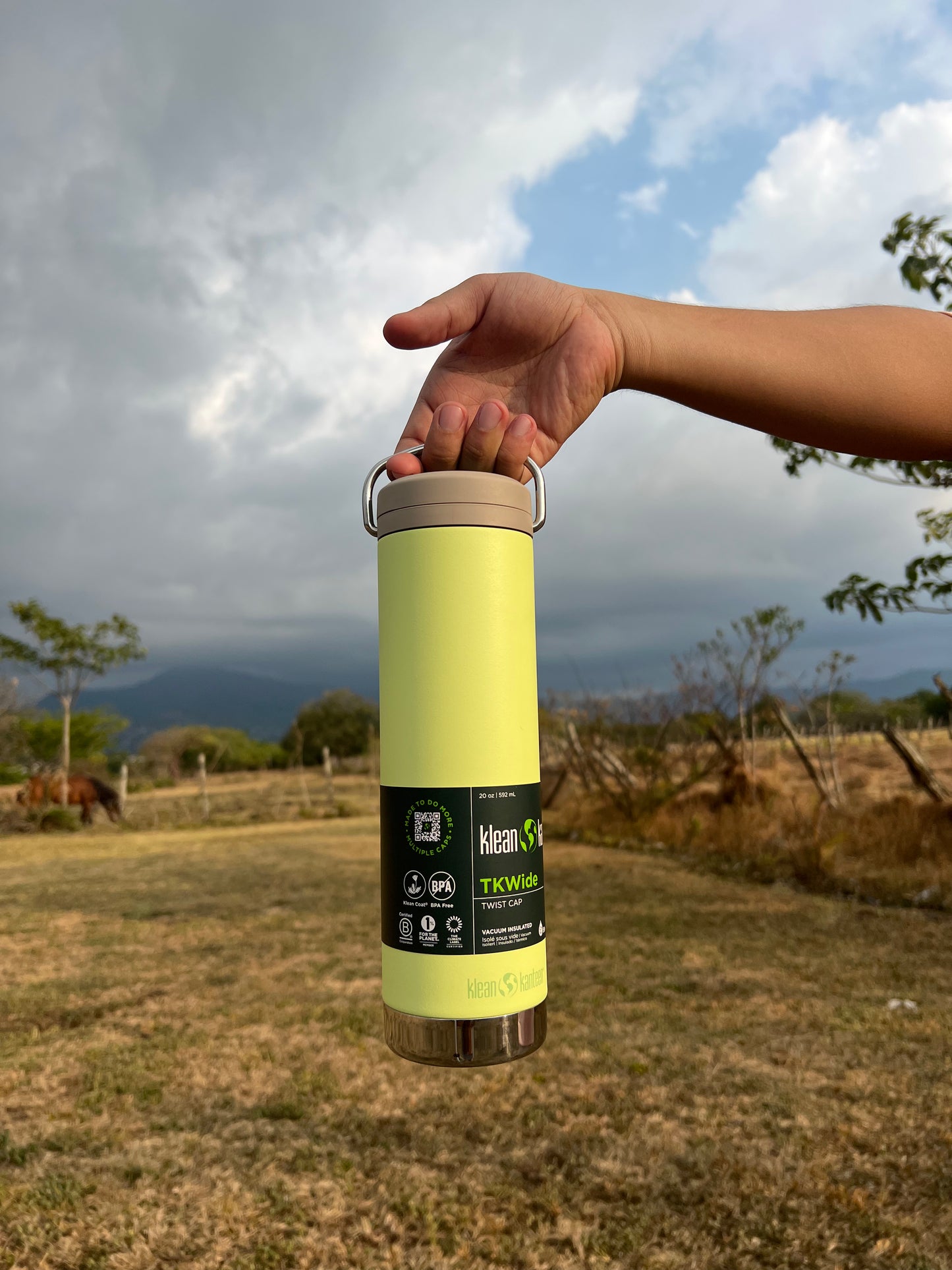 Botella Klean Kanteen TKWide 20 oz Twist Shadow Lime